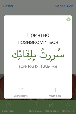 Arabic Video Dictionary - Translate, Learn and Speak with Video screenshot 3