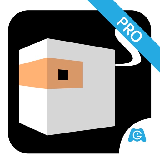 Ninja Flips Pro: Jump The White Line Icon