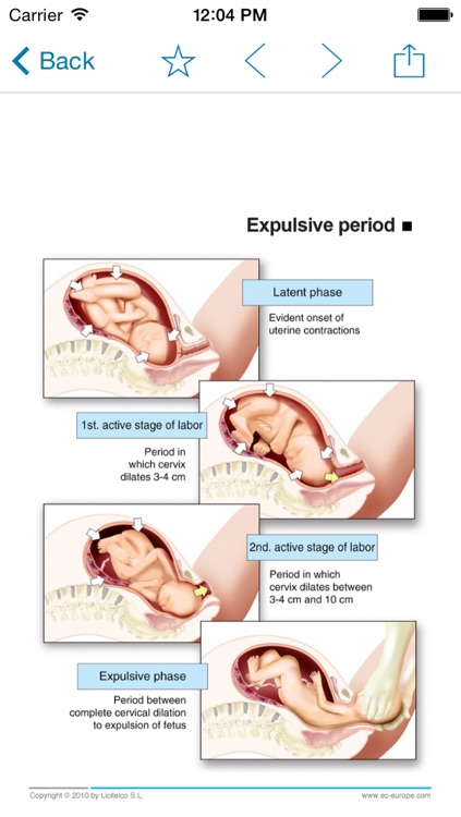 Miniatlas Pregnancy