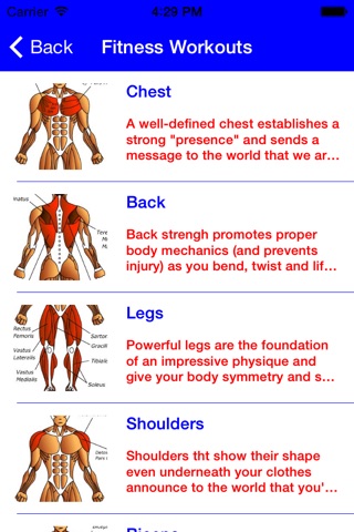 Maximum Muscle Workout Plan screenshot 2