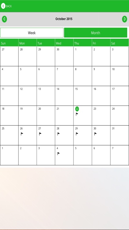 Mossford Green Primary School screenshot-3