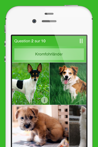 iKnow Dogs Quiz screenshot 3