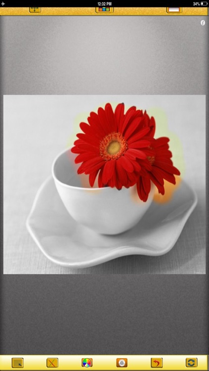 Photo Filter - Wonder Factory Editor screenshot-4