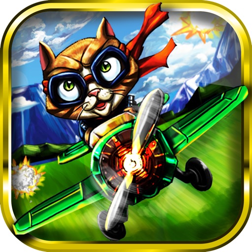 Crazy Cat Sky Gamble HD iOS App