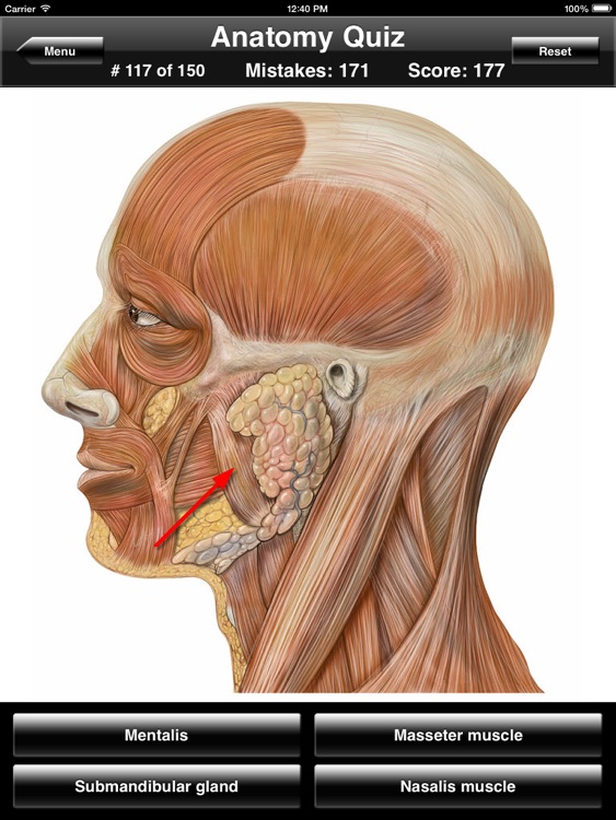 Anatomy Quiz for iPad screenshot-3