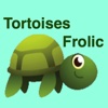 Tortoises Frolic