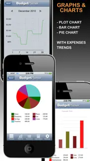 budget planner & web sync (income and expense balance calendar) problems & solutions and troubleshooting guide - 2