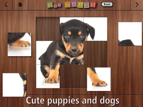 1st GAMES - Cute puppies and dogs HD puzzle for kids screenshot 4