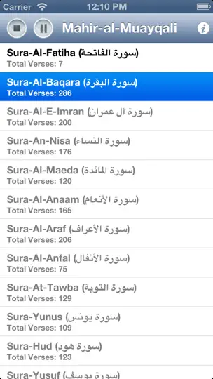 Quran Audio - Sheikh Mahir Al Muayqali iPhone Ekran Görüntüsü 2