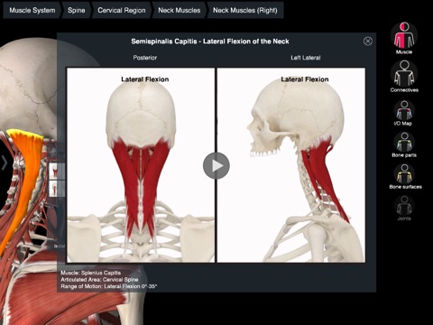 Essential Muscle + Skeleton Anatomy screenshot 3