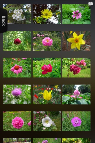 Flower Collection screenshot 4