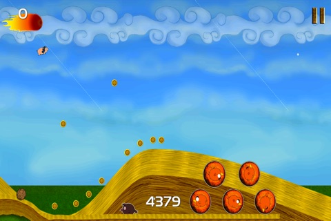 Rocket Pig - Piggie with Birds on Happy Farm Days - Cool Fun Adventure Arcade Game - FREE screenshot 4