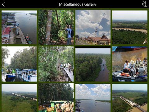 OrangUtan - Indonesia iPad screenshot 4 - Travel app