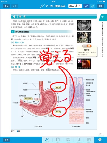 Digital Nursing Graphicus 2012 screenshot 2