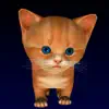 Cute kitten virtual pet, your own kitty to take care contact information