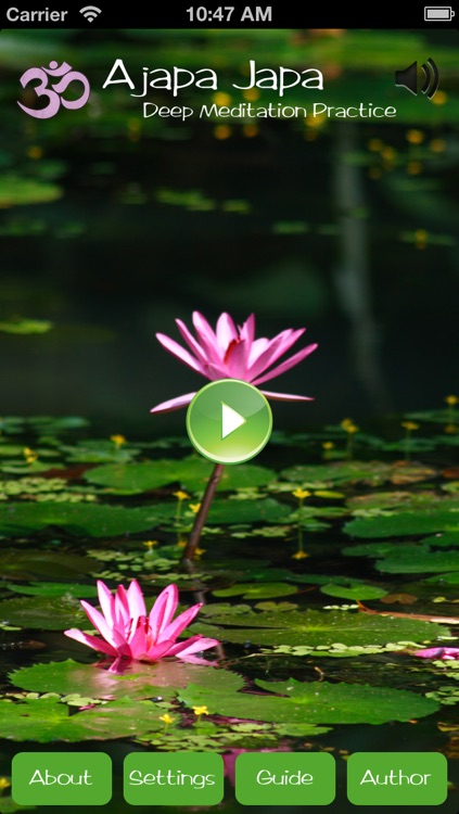 Deep Meditation Practice - Ajapa Japa Lite