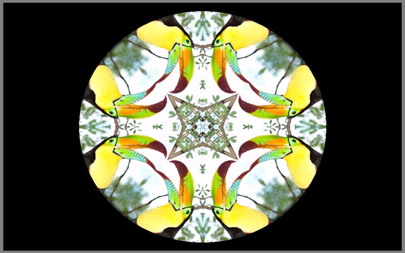 Screenshot #3 pour KaleidoFX
