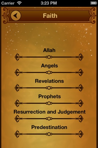 Introduction to Islam screenshot 2