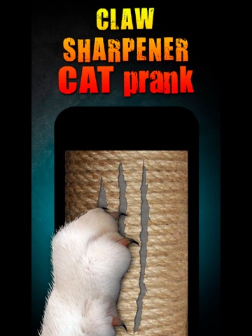 Screenshot #6 pour Claw Sharpener Cat Prank
