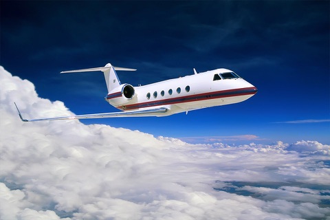 Flying Experience (Bombardier Challenger 300 Edition) - Learn and Become Airplane Pilot screenshot 2