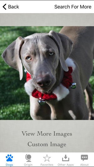 Guide to Dog Breeds(圖3)-速報App