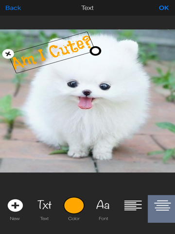 Screenshot #5 pour Simple Photo Editor -  Best Image Editing with Picture Filter Effect Makeup