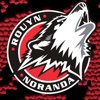 Les Huskies de Rouyn-Noranda