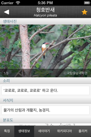 한국의 새 Lite screenshot 3