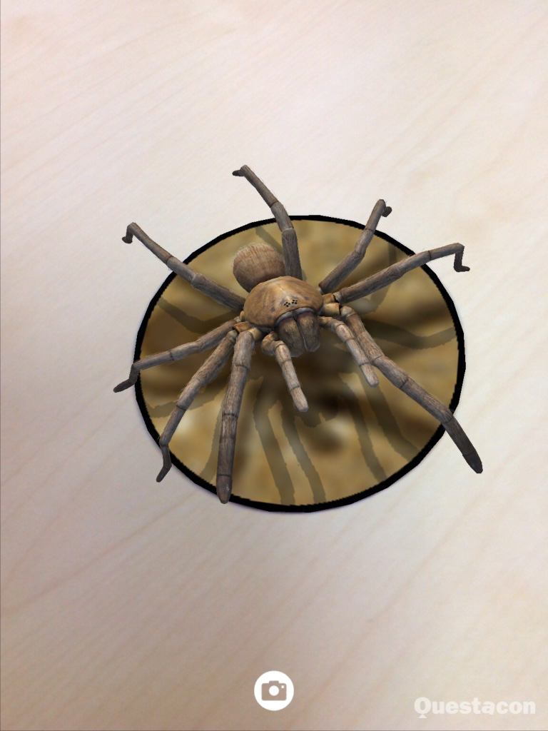 SPIDERS AR