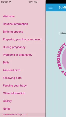 Game screenshot MyPregnancy@ apk