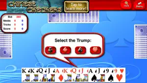 Pinochle Lite screenshot #4 for iPhone