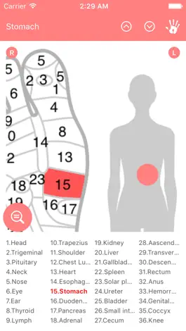 Game screenshot Reflexology Chart (Foot & Hand) apk