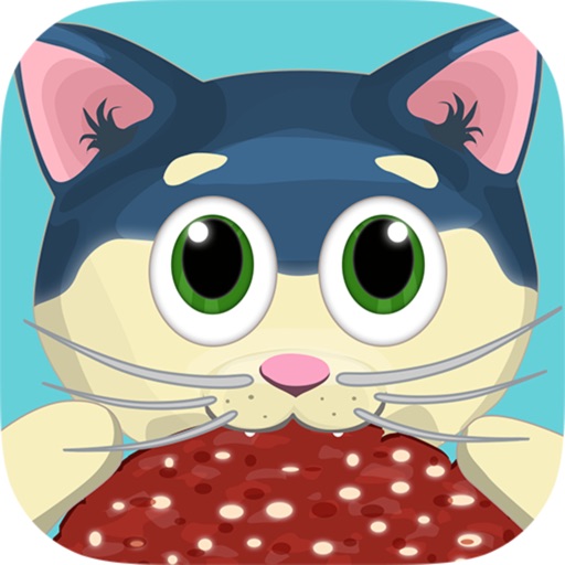 Cat Jump - Salami Adventure PRO iOS App