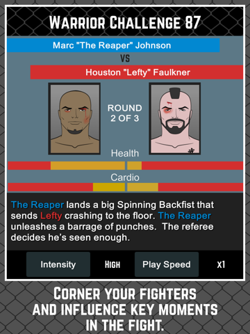 MMA Manager на iPad