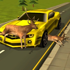 Activities of Road Kill 3D : Highway Animal Avoidance