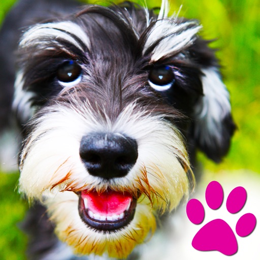 Dogs - Everything for Dog Lovers iOS App