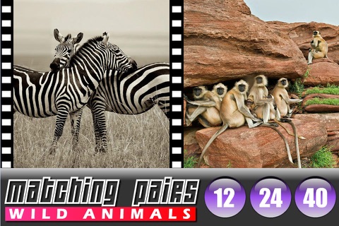 Matching Pairs Animals screenshot 4