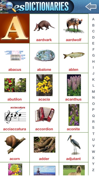esDictionaries screenshot-3