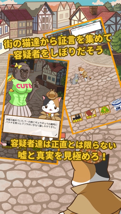 Cat Pooh -Robin Incident-