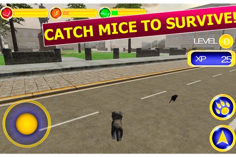 Street Cat Survival Simulator 3D screenshot 2