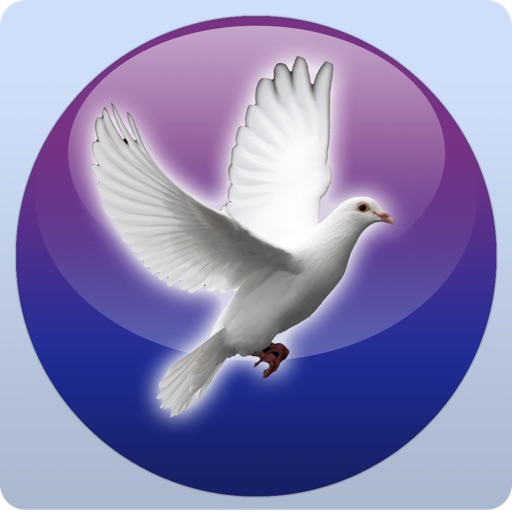 AM4Peace icon