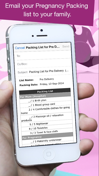 Pregnancy Packing Planner
