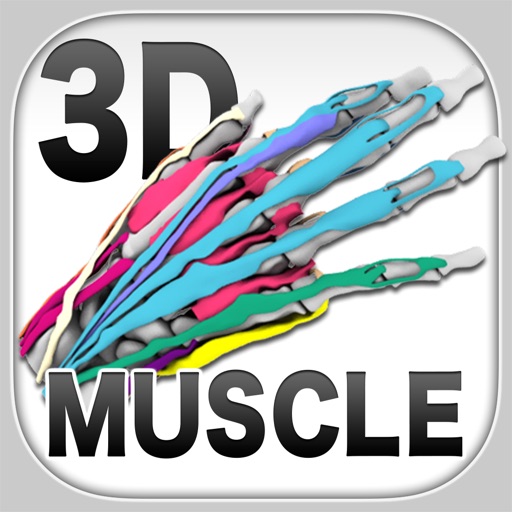 3D Muscle icon