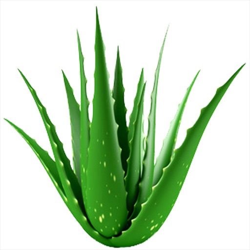 Medicinal Plants Pocket Guide icon