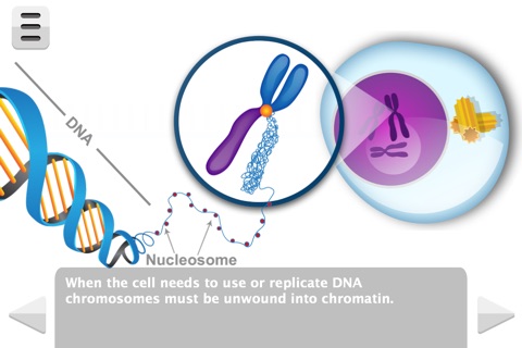 Biology Molecular Genetics L screenshot 3