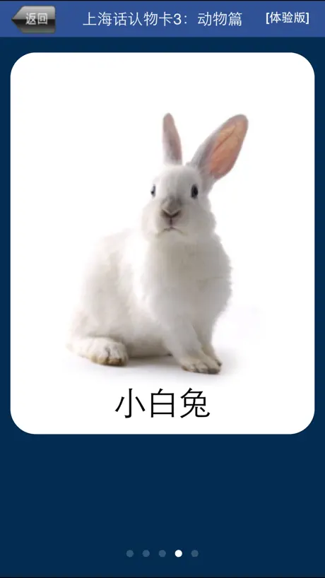上海话认物卡3：动物篇-冬泉沪语系列