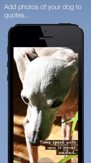My Dog & Me(圖2)-速報App