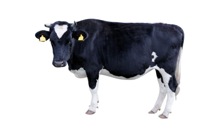 Screenshot #1 pour Farm Animals — See, hear & click the animals. For babies & kids aged 0-3 years.