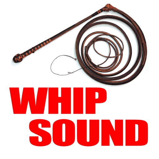 Big Bang Whip Sound & More icon