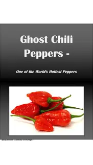 all about spicy food: spicy magazine problems & solutions and troubleshooting guide - 2